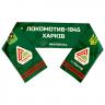 Шарф фанатський гандбольний VOLLEYMAG VM4007U139 - 19985