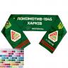 Шарф фанатський гандбольний VOLLEYMAG VM4007U139 - 19987